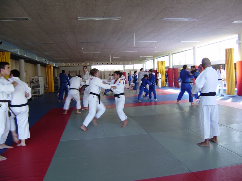 Entrevista a T&eacute;cnicos y Judokas convocados en Pamplona